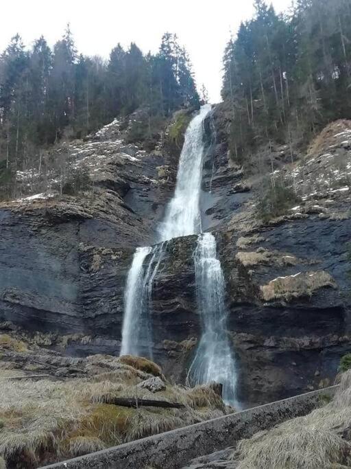 Calme Et Serenite - Etablissement Classe Sixt-Fer-a-Cheval Bagian luar foto